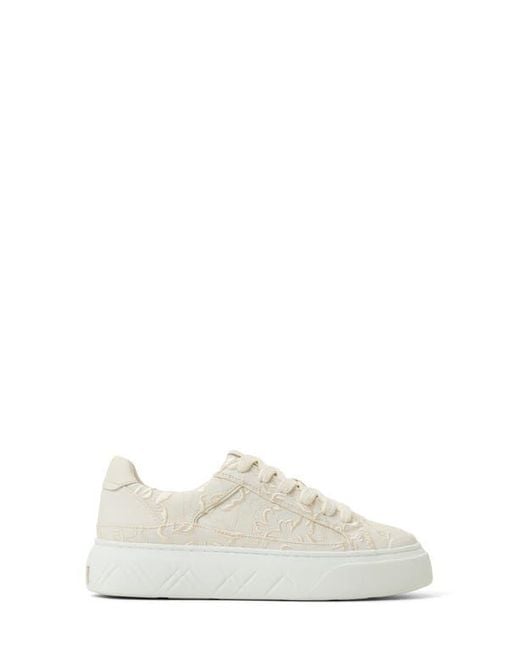 Ted Baker White Adison Platform Sneaker