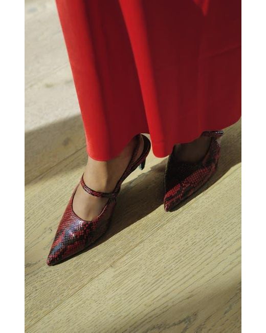 Open Edit Metallic Sophia Pointed Toe Slingback Pump