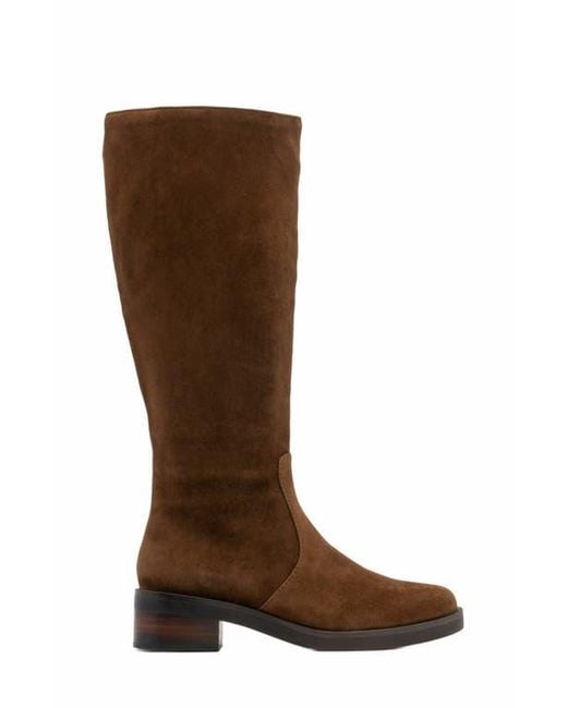 ABEO Brown Traverse Tall Boot