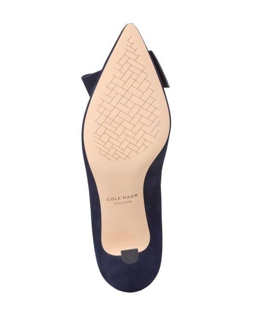 Cole Haan Blue Felicia Bow Pointed Toe Pump