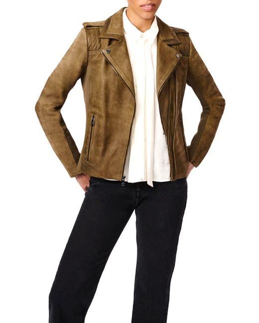 Bernardo Brown Suede Moto Jacket