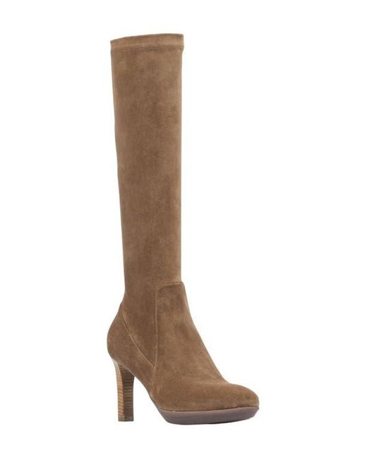 Aquatalia Brown Rhumba Knee High Boot