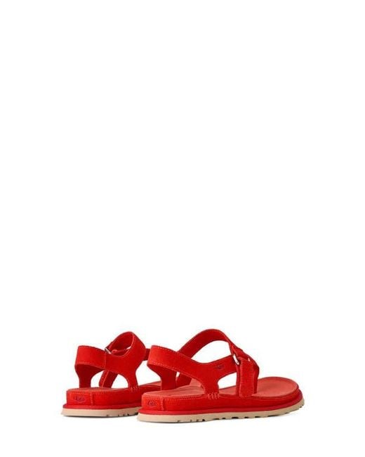 Ugg Red Goldengaze Toe Post Suede Sandal