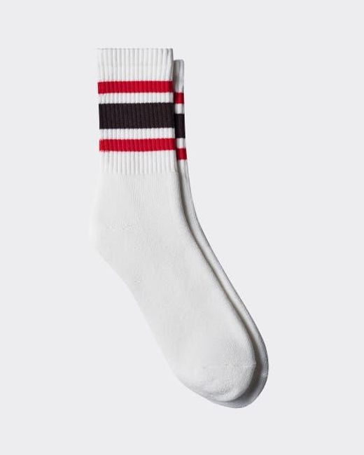 le PERE White Co-Ed Cloud Crew Socks for men