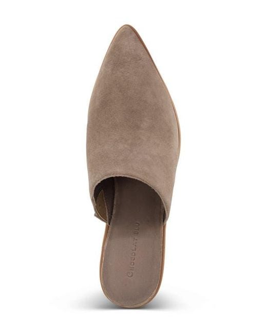 Chocolat Blu Multicolor Cellia Pointed Toe Mule