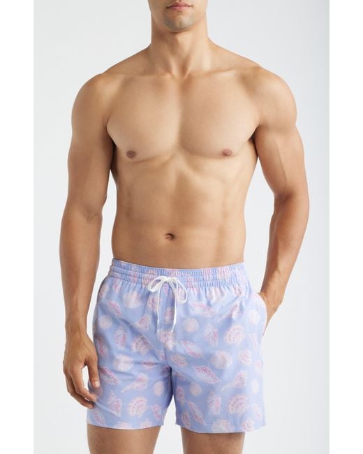 Chubbies Blue Shell Yeahs 5.5-Inch Swim Trunks for men