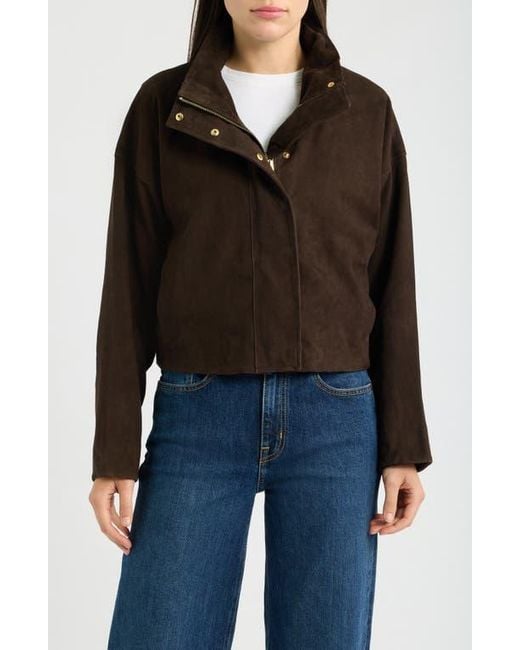 AllSaints Black Ryder Suede Jacket