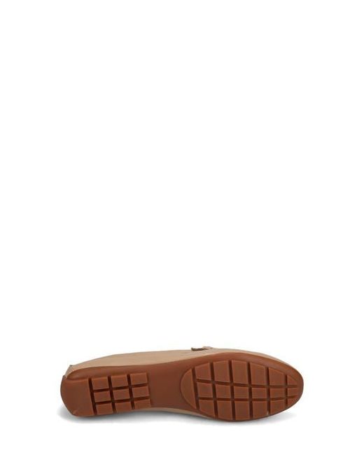 Vaneli Brown Aiker Driving Loafer