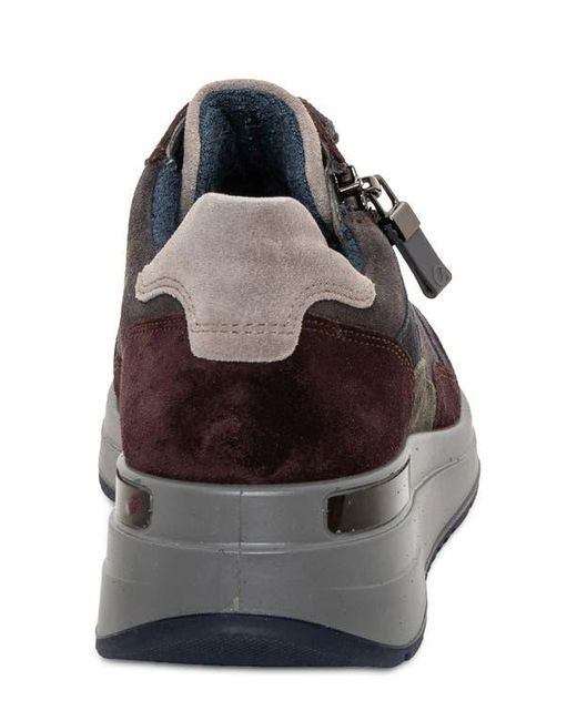 Ara Brown Gardenia Sneaker