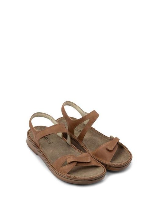 Naot Brown Evora Sandal