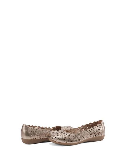Earth Brown Bria Casual Flat
