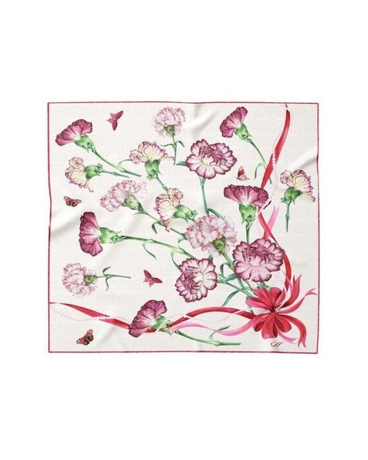 Elizabetta Pink Dianthus
