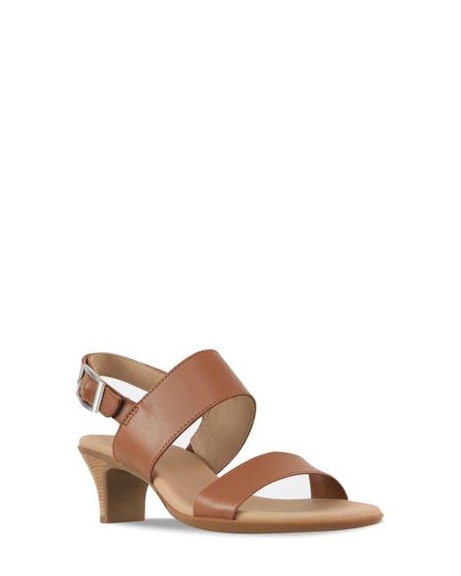 Munro Brown Livia Slingback Sandal