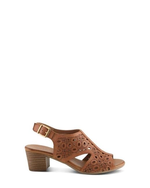 Spring Step Brown Kovach Slingback Sandal