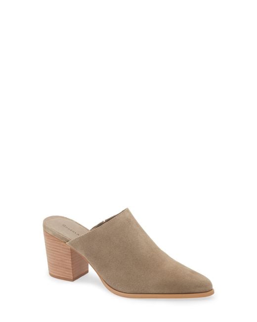 Chocolat Blu Brown Emery Pointed Toe Mule