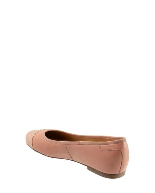 Trotters Brown Clara Cap Toe Flat