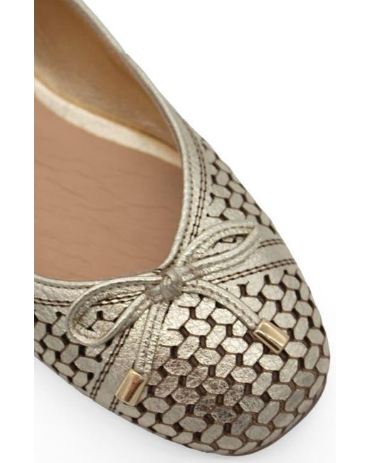 BOTTER Brown Botsamya Ballet Flat