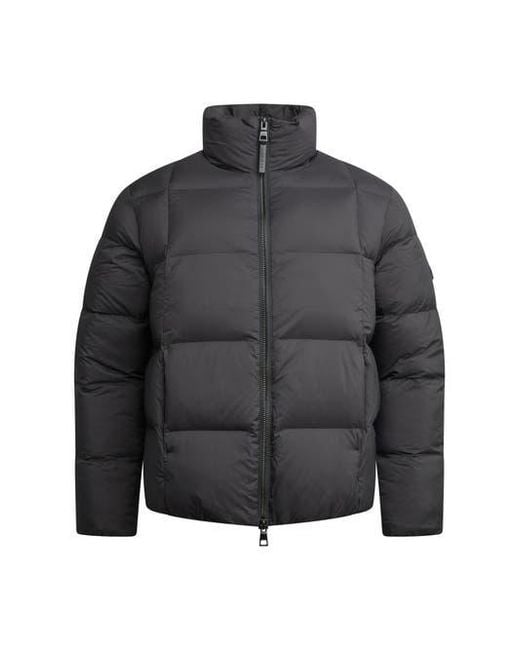 Jacket Gray Cloud Long Sleeve Puffer Racer Jacket for men