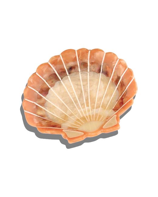 Solar Eclipse Brown Sunset Seashell Hair Claw Clip