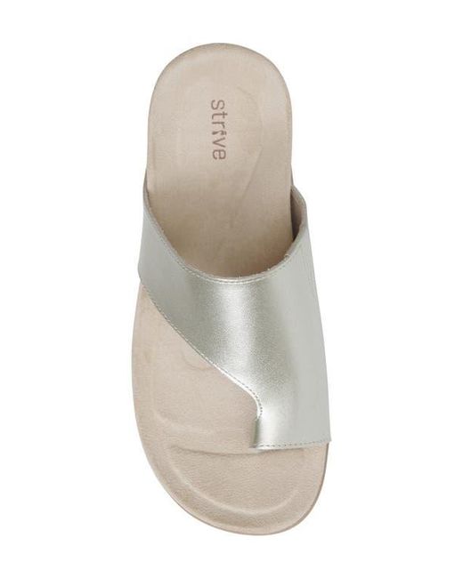 Strive Gray Capri Iv Toe Loop Sandal