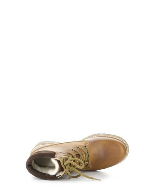 Bos. & Co. Brown Hartt Waterproof Boot