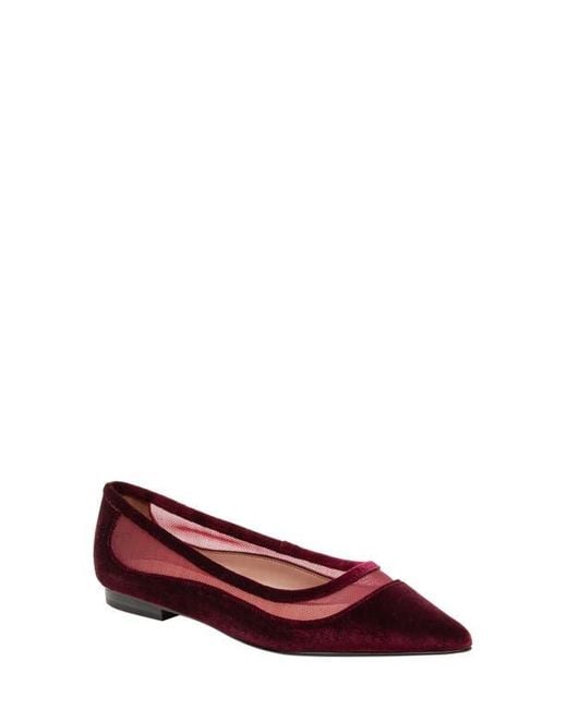 Linea Paolo Red Novah Pointed Toe Flat
