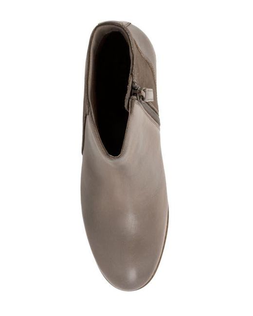 Softwalk® Brown Racine Bootie
