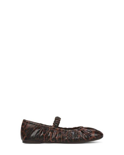 Circus by Sam Edelman Brown Blythe Flat