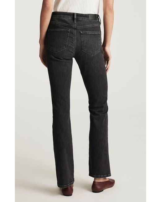 Mavi Black Molly Mid Rise Bootcut Jeans