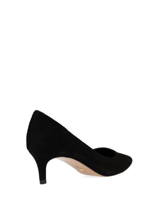 Pelle Moda Black Aeri Pointed Toe Kitten Heel Pump