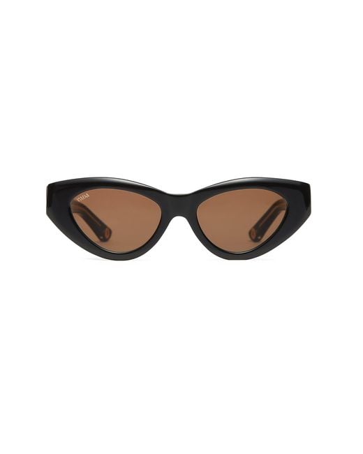 VADA Brown Catfish Sunglasses