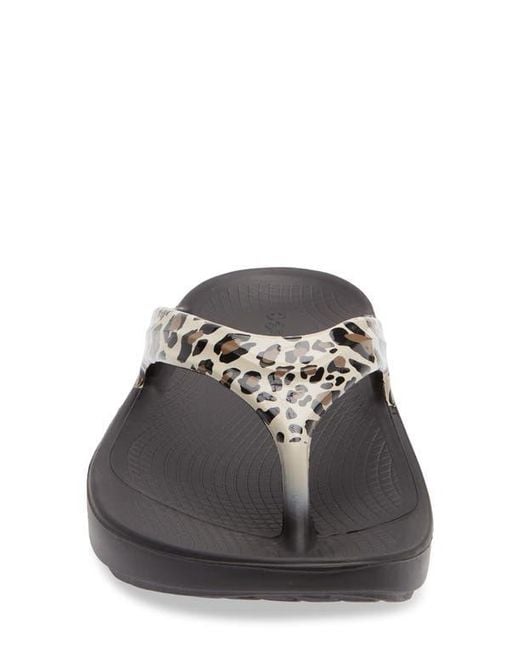 OOFOS Gray Oolala Flip Flop