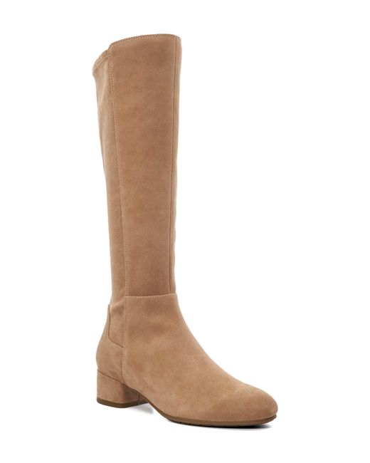 Dune Brown Tayla Knee High Boot