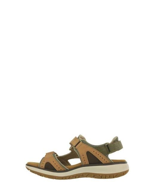 SAS Multicolor Embark Sandal