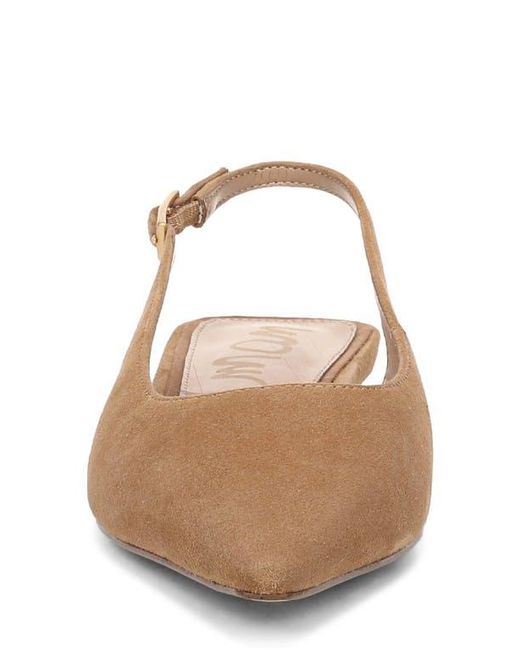 Sam Edelman Brown Netty Slingback Pointed Toe Flat