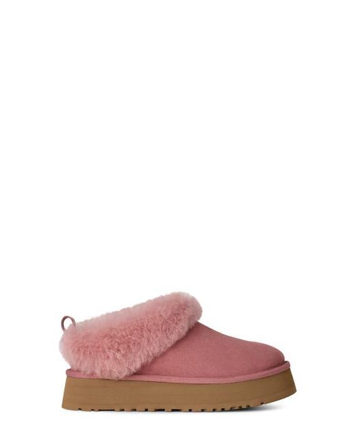 Ugg Pink Tazzelle Genuine Shearling Collar Slipper