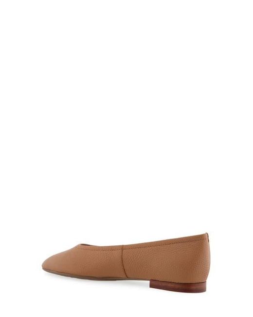Aerosoles Brown Amelie Ballet Flat