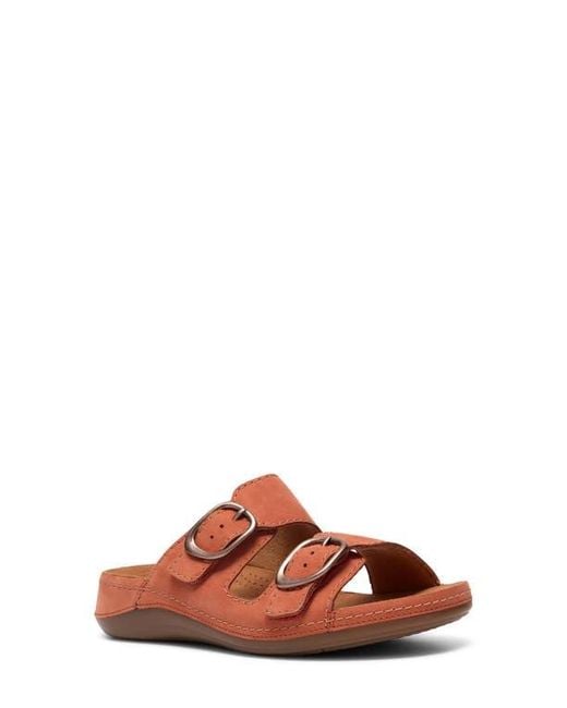Clarks Brown Cecily Step Sandal