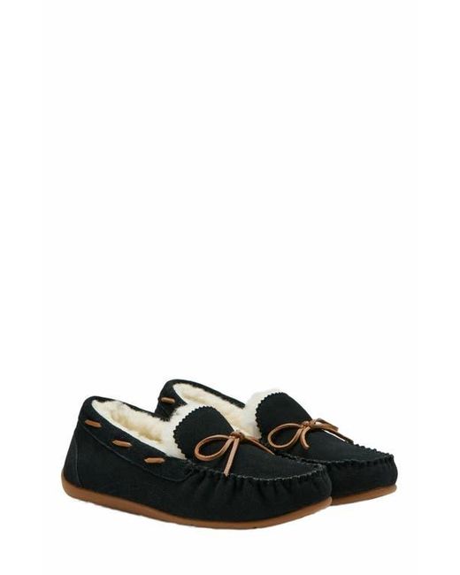 ABEO Black Amble Bow Slipper