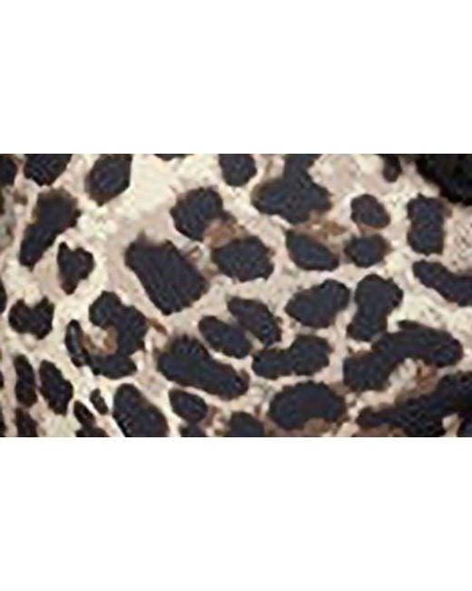 Edikted Black Deeva Print Bikini Top