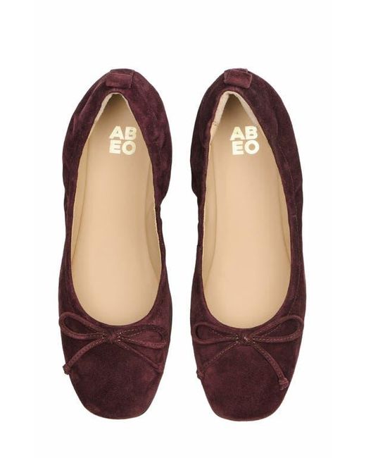 ABEO Brown Cadence Bow Ballet Flat