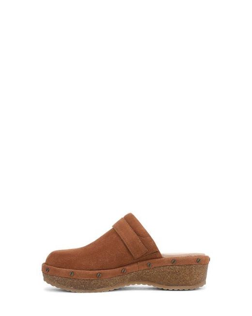 Dr. Scholls Brown Originalflex Clog