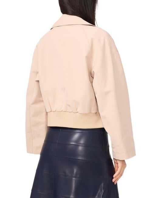 1.STATE Natural Crop Trench Coat