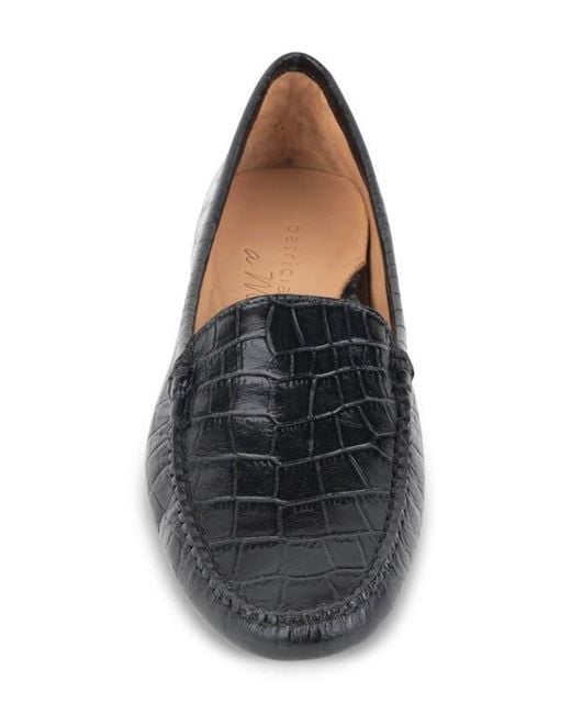 Patricia green jillian loafer best sale