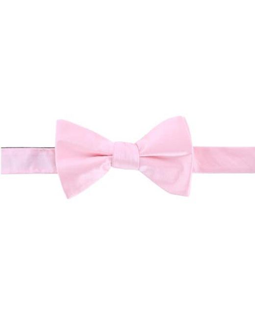 Trafalgar Pink Sutton Solid Color Silk Brace And Bow Tie Combo for men