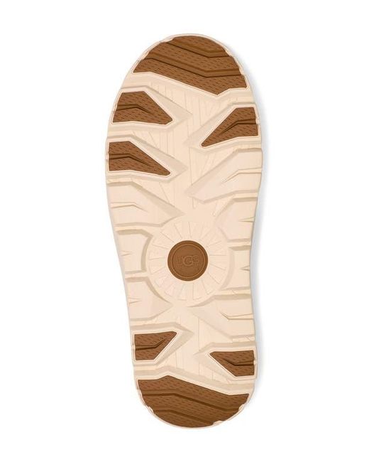 Ugg Brown ugg(r) Tasman Waterproof Hybrid Slip-on Shoe for men
