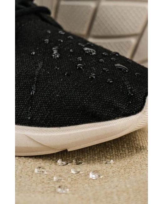 8000Kicks Black Explorer V2 Waterproof Hemp Sneakers