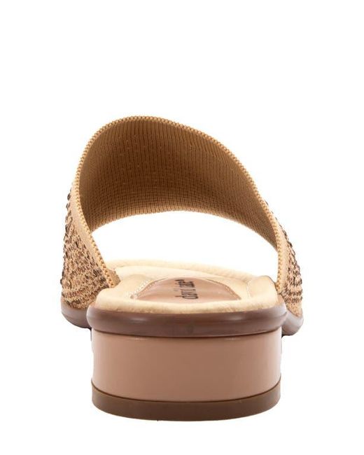 David Tate Multicolor Premium Slide Sandal