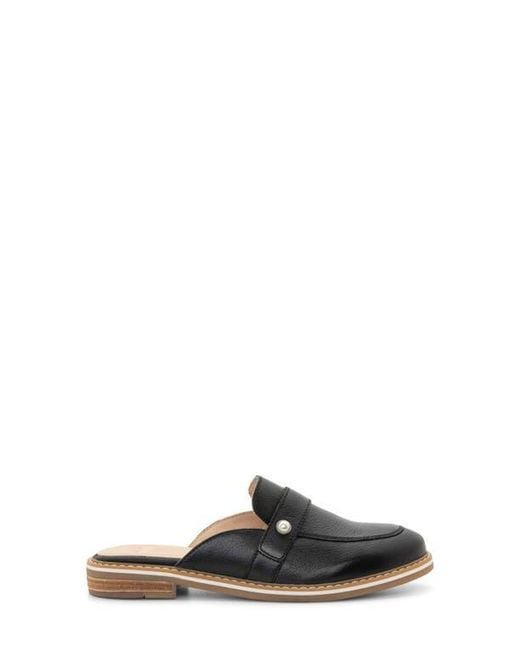 Ara Black Kona Mule