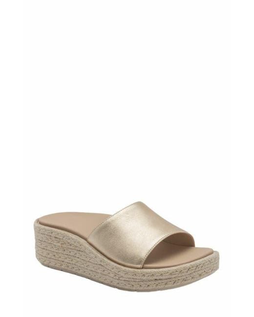 ABEO Multicolor Solstice Slide